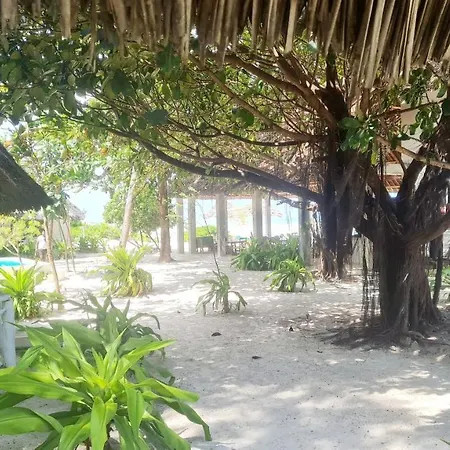 Garden Beach Bungalows Jambiani Jambiani  Exterior photo