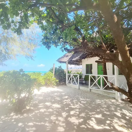 Garden Beach Bungalows Jambiani Jambiani  Room photo