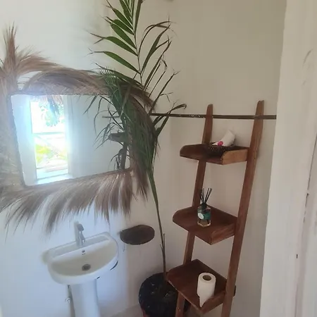 Garden Beach Bungalows Jambiani Jambiani  Room photo