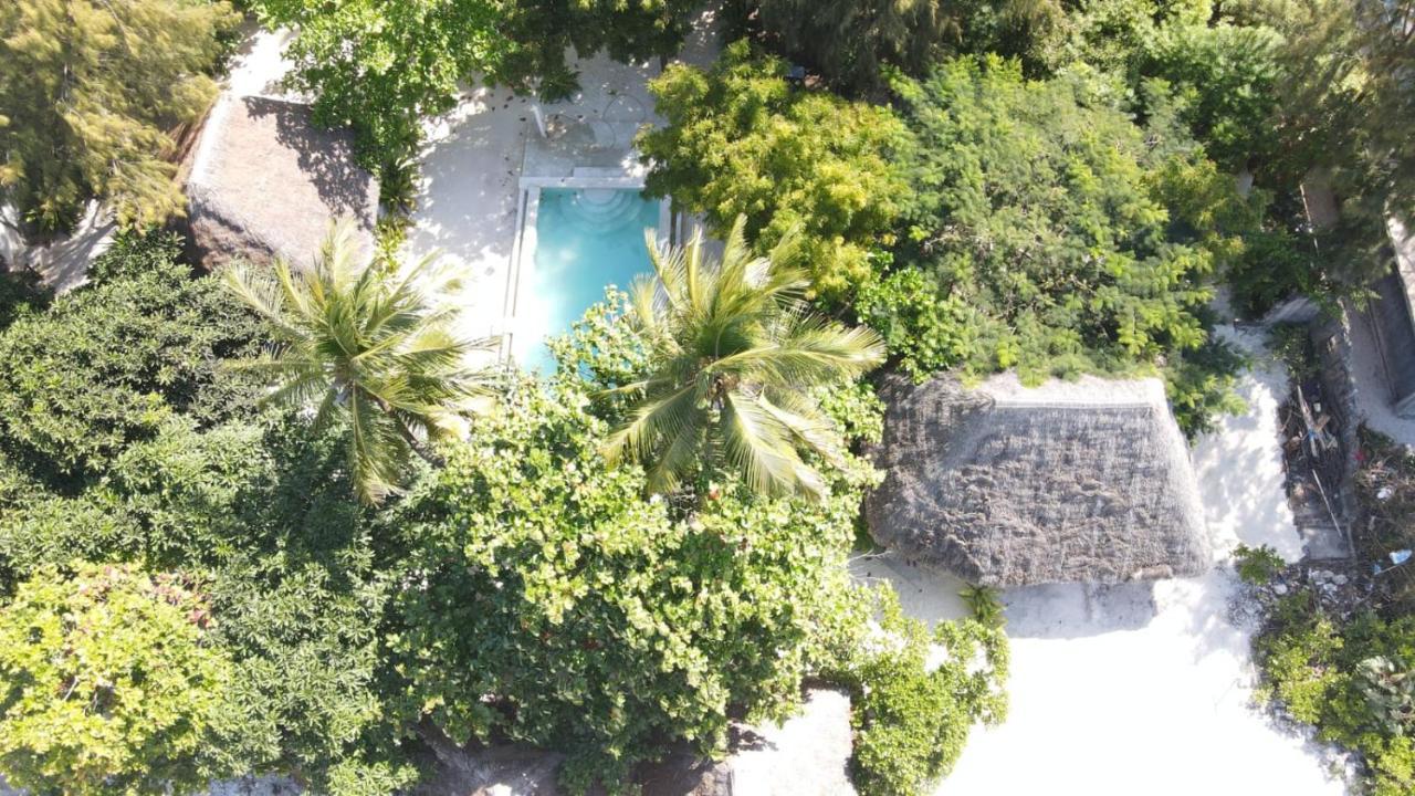 Hotel Garden